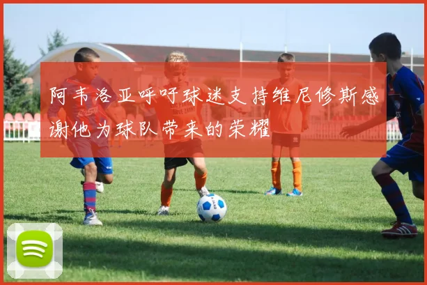 阿韦洛亚呼吁球迷支持维尼修斯感谢他为球队带来的荣耀