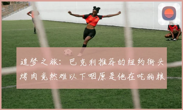追梦之旅：巴克利推荐的纽约街头烤肉竟然难以下咽原是他在吃狗粮