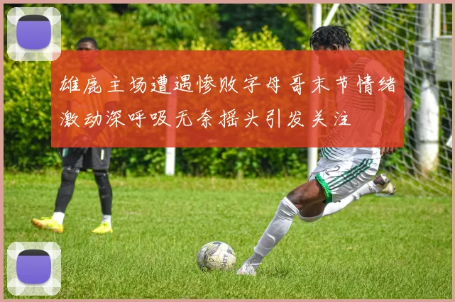 雄鹿主场遭遇惨败字母哥末节情绪激动深呼吸无奈摇头引发关注