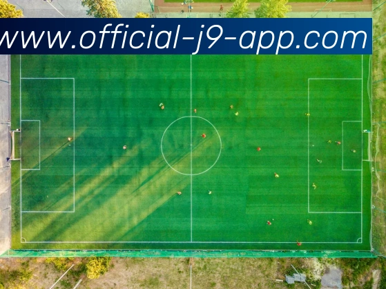 App Interface Preview